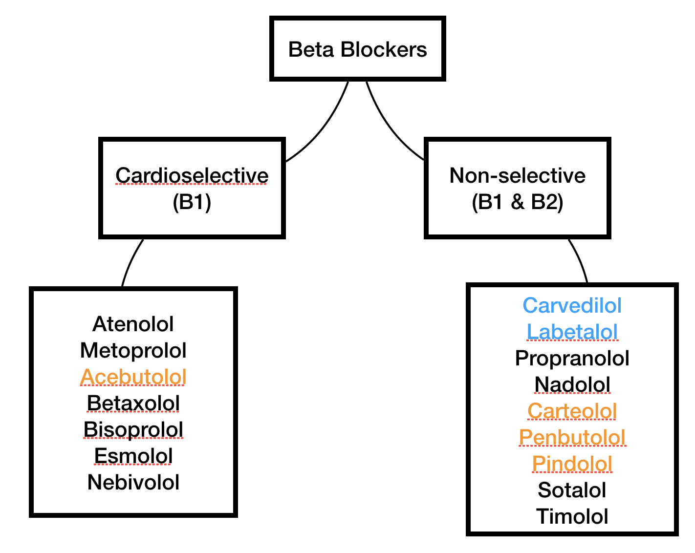Pharmacology 101: An Overview of Beta Blockers — tl;dr pharmacy